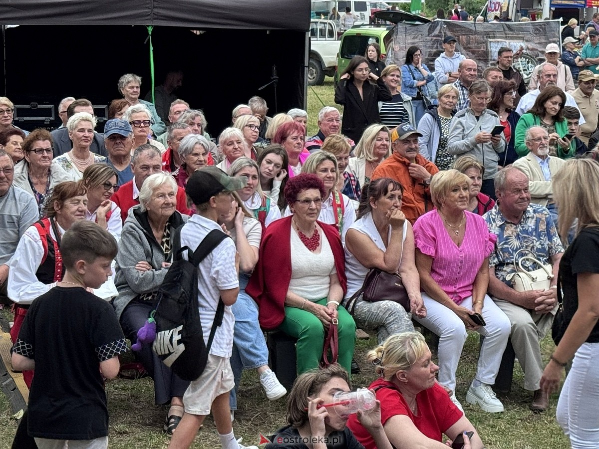 Noc Świętojańska w Nowogrodzie [28.06.2025] - zdjęcie #28 - eOstroleka.pl