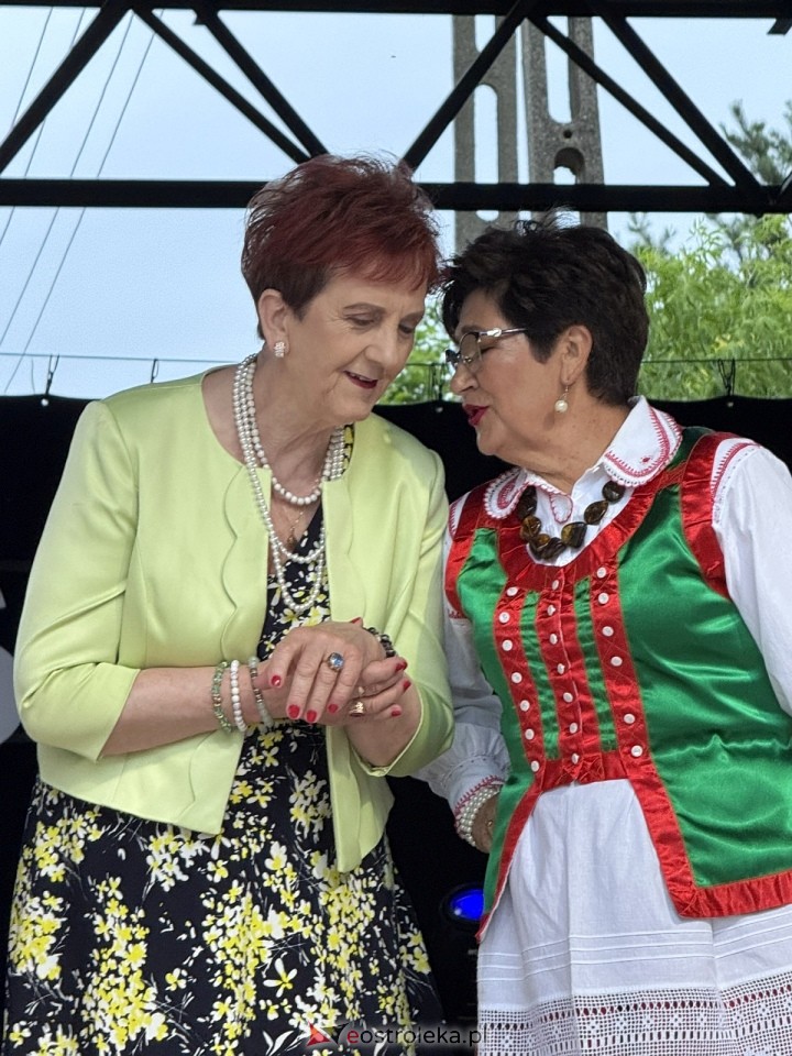 Noc Świętojańska w Nowogrodzie [28.06.2025] - zdjęcie #11 - eOstroleka.pl