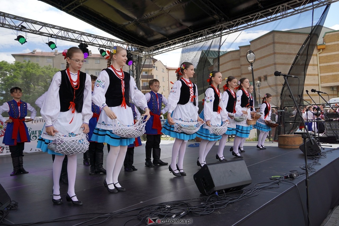 Festiwal Kurpiowskie spotkania z folklorem zakończenie [29.06.2025] - zdjęcie #30 - eOstroleka.pl
