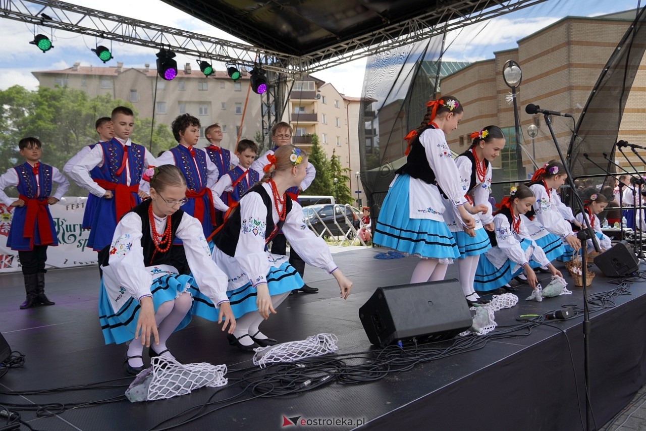 Festiwal Kurpiowskie spotkania z folklorem zakończenie [29.06.2025] - zdjęcie #29 - eOstroleka.pl