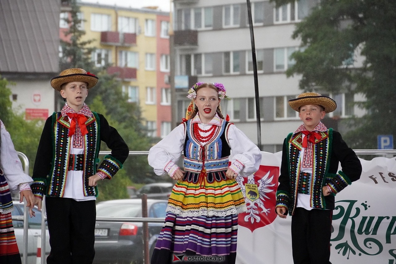 Festiwal Kurpiowskie spotkania z folklorem zakończenie [29.06.2025] - zdjęcie #15 - eOstroleka.pl