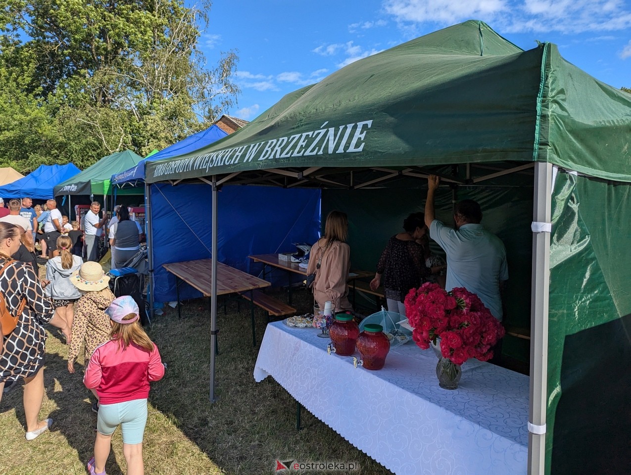 Piknik charytatywny dla Marty w Goworowie [29.06.2025] - zdjęcie #56 - eOstroleka.pl