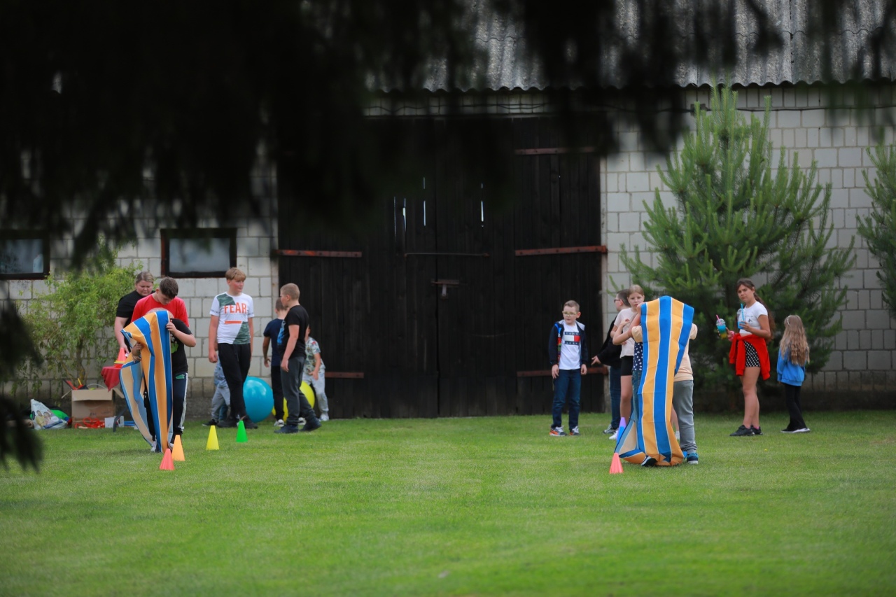 Piknik rodzinny w Przytułach Nowych [28.06.2025] - zdjęcie #65 - eOstroleka.pl