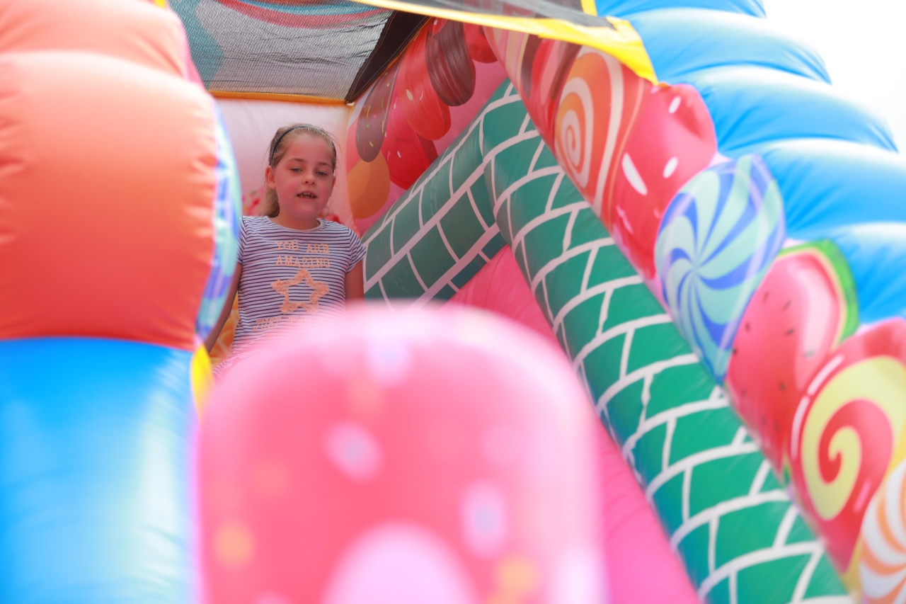 Piknik rodzinny w Przytułach Nowych [28.06.2025] - zdjęcie #62 - eOstroleka.pl