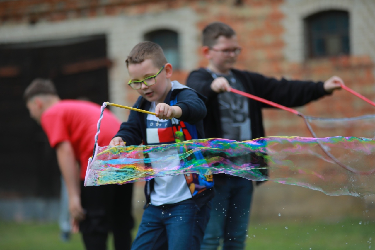 Piknik rodzinny w Przytułach Nowych [28.06.2025] - zdjęcie #55 - eOstroleka.pl