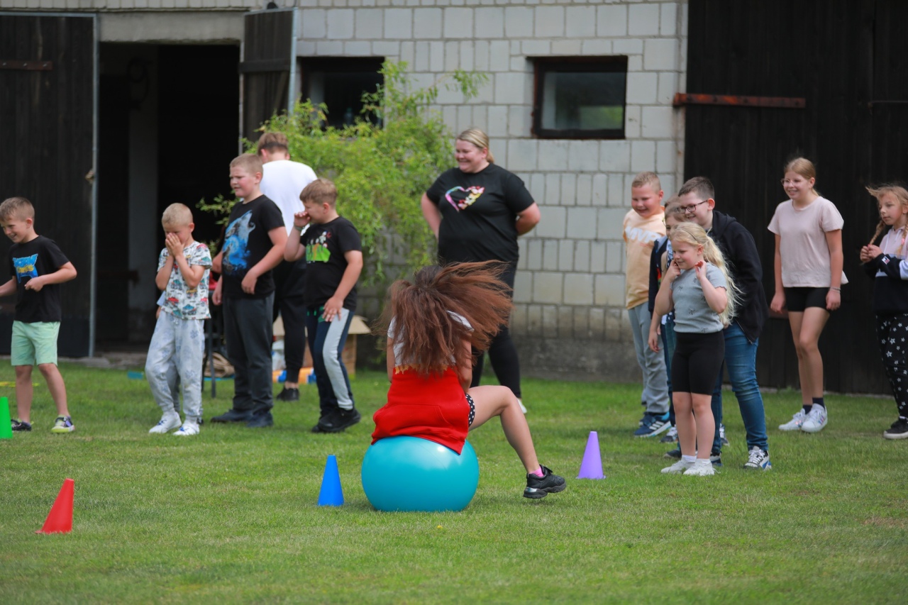 Piknik rodzinny w Przytułach Nowych [28.06.2025] - zdjęcie #50 - eOstroleka.pl