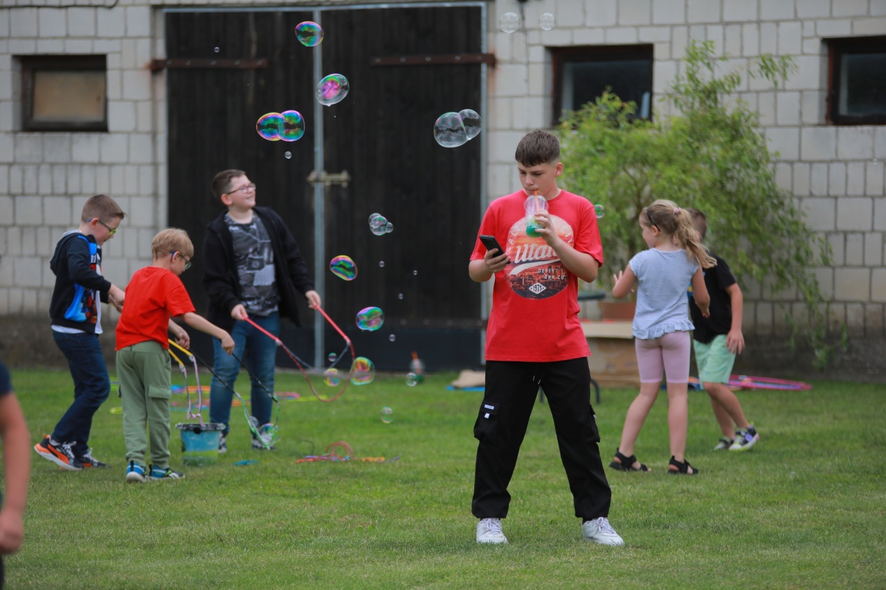 Piknik rodzinny w Przytułach Nowych [28.06.2025] - zdjęcie #32 - eOstroleka.pl