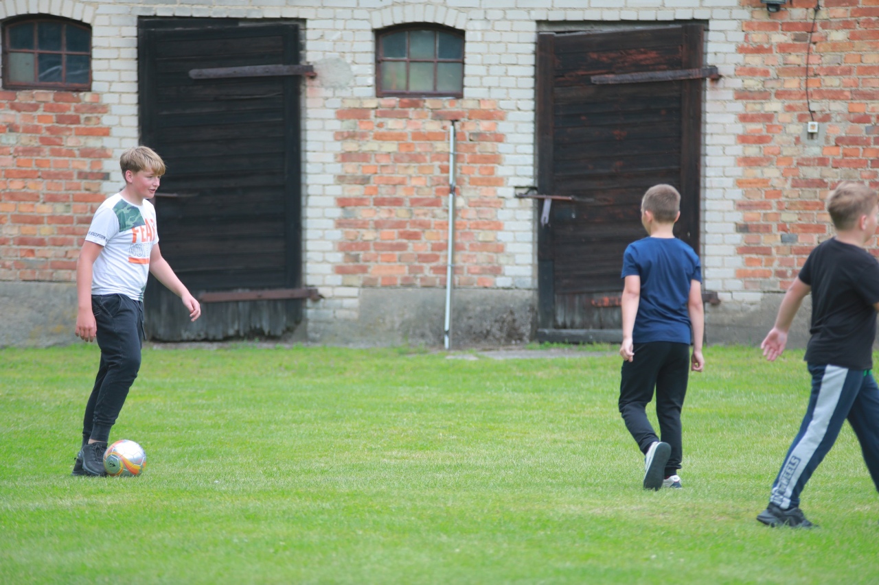 Piknik rodzinny w Przytułach Nowych [28.06.2025] - zdjęcie #31 - eOstroleka.pl