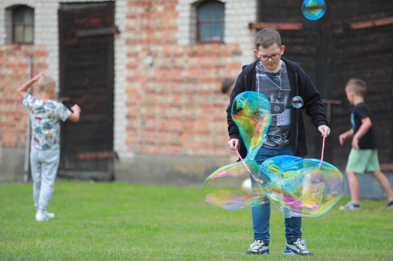 Piknik rodzinny w Przytułach Nowych [28.06.2025] - zdjęcie #15 - eOstroleka.pl