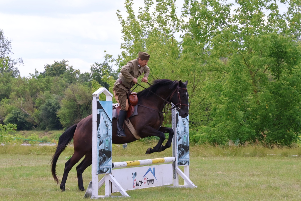 Towarzyskie Zawody Skokowe w Kruszewie [28.06.2025] - zdjęcie #44 - eOstroleka.pl