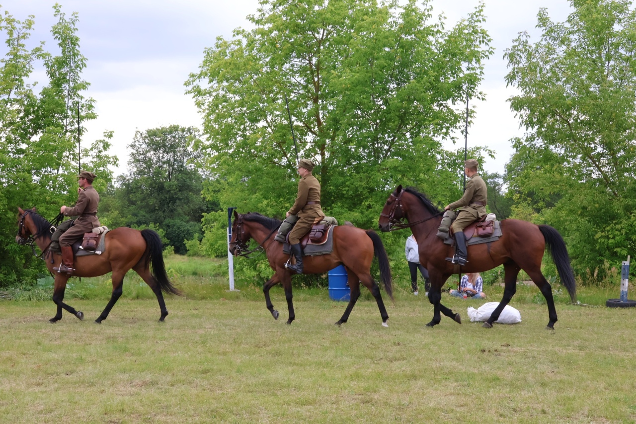Towarzyskie Zawody Skokowe w Kruszewie [28.06.2025] - zdjęcie #43 - eOstroleka.pl