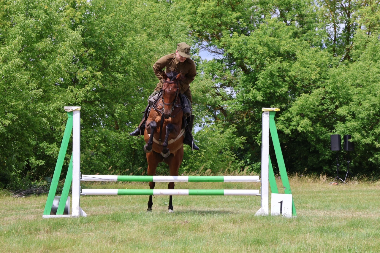 Towarzyskie Zawody Skokowe w Kruszewie [28.06.2025] - zdjęcie #41 - eOstroleka.pl