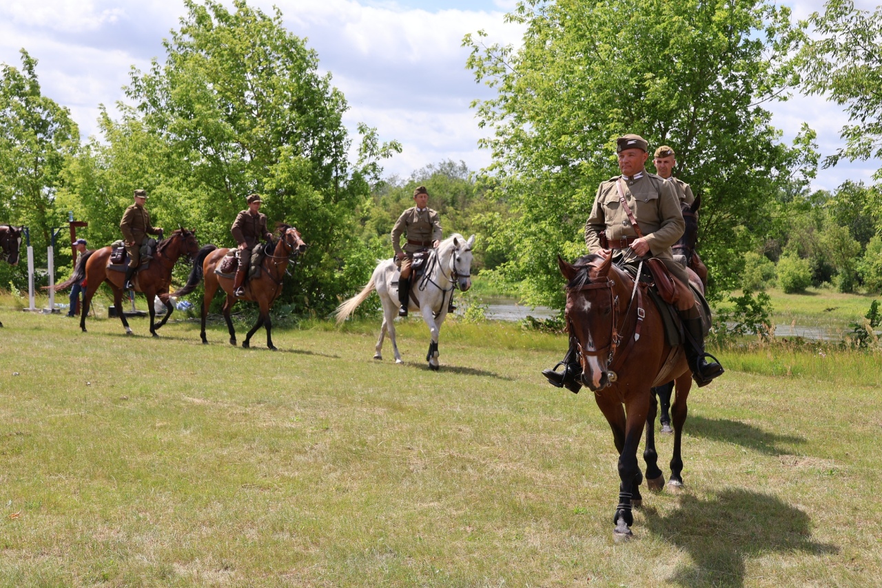 Towarzyskie Zawody Skokowe w Kruszewie [28.06.2025] - zdjęcie #37 - eOstroleka.pl