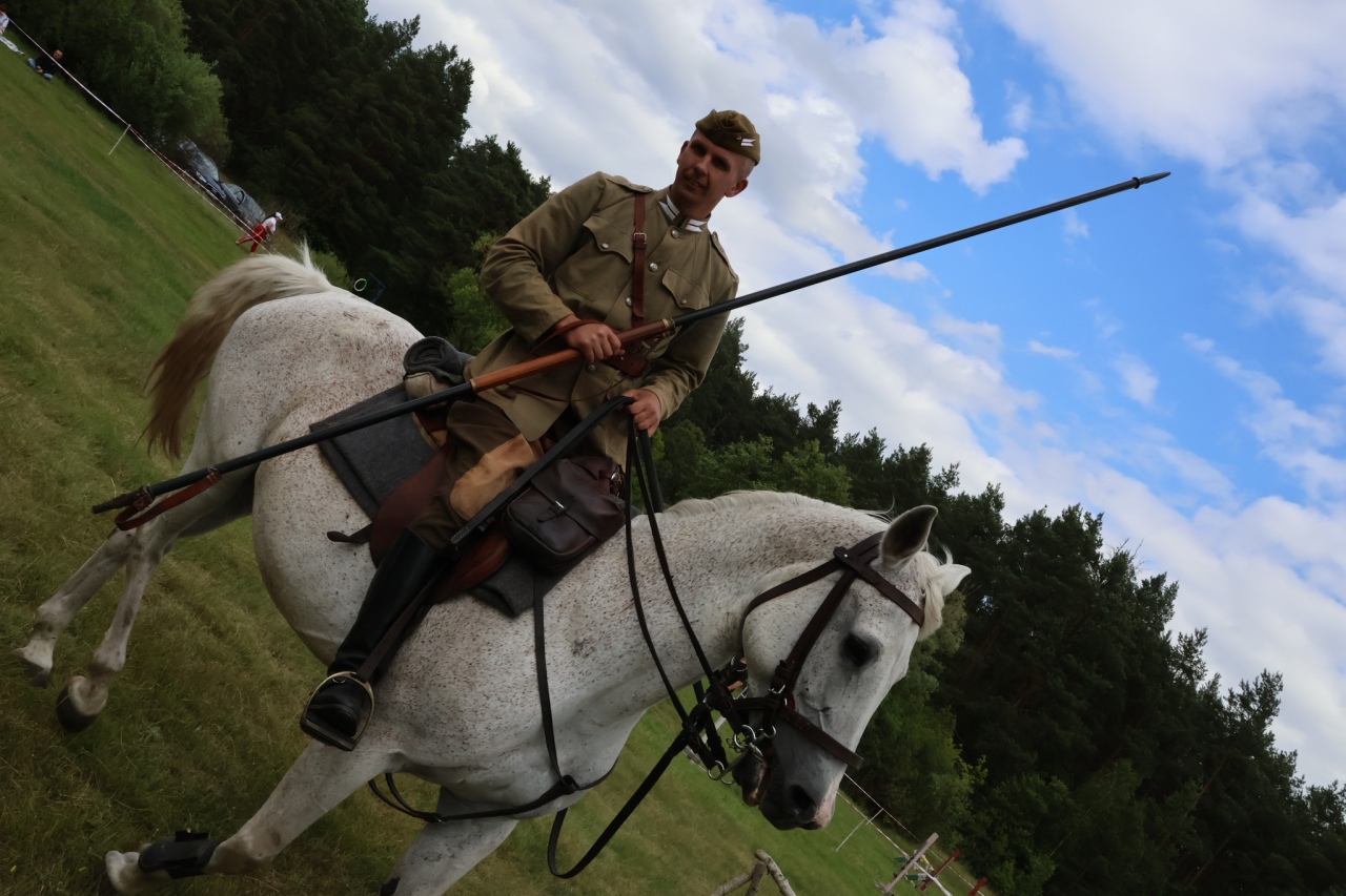 Towarzyskie Zawody Skokowe w Kruszewie [28.06.2025] - zdjęcie #36 - eOstroleka.pl
