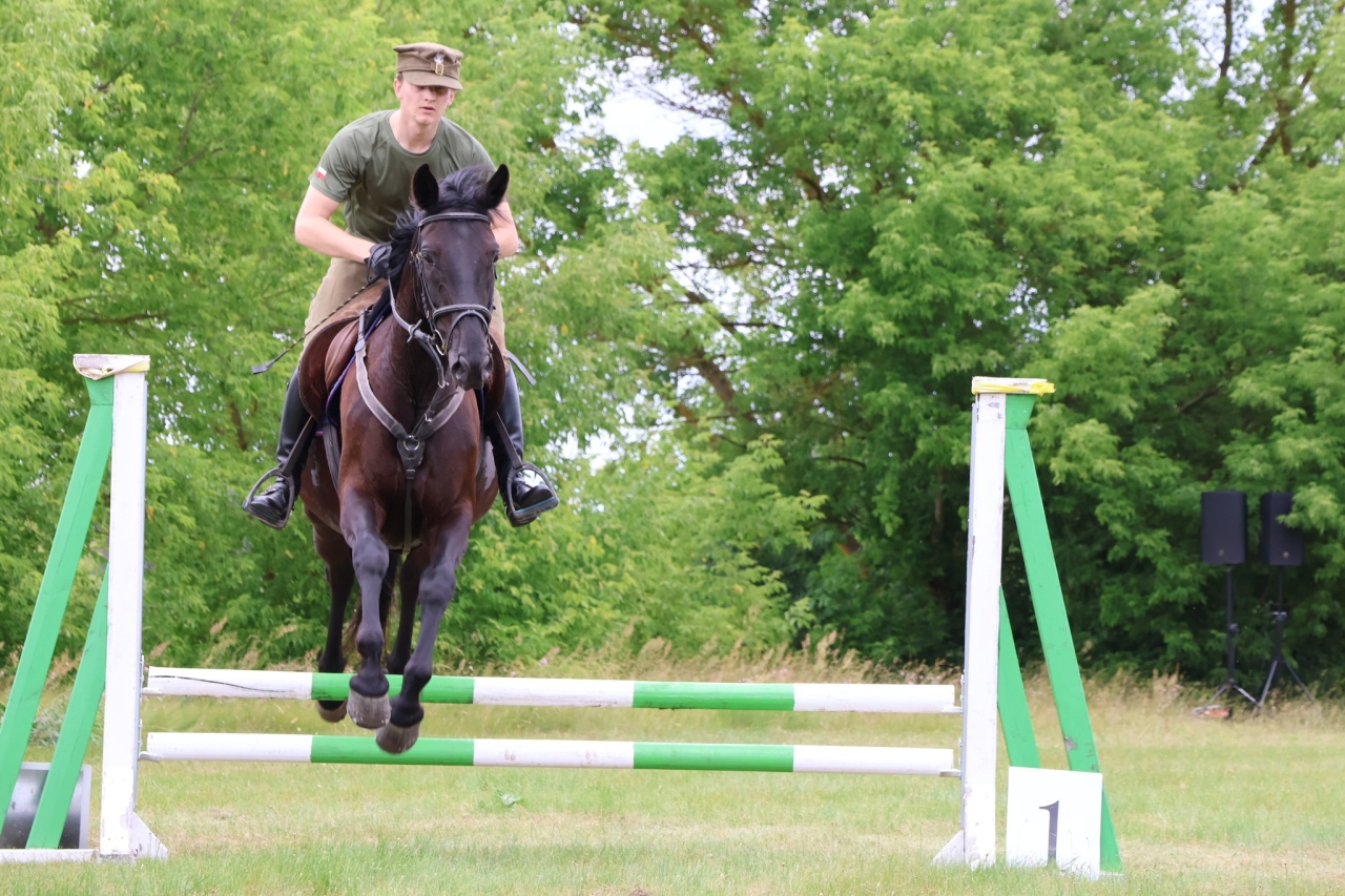 Towarzyskie Zawody Skokowe w Kruszewie [28.06.2025] - zdjęcie #34 - eOstroleka.pl