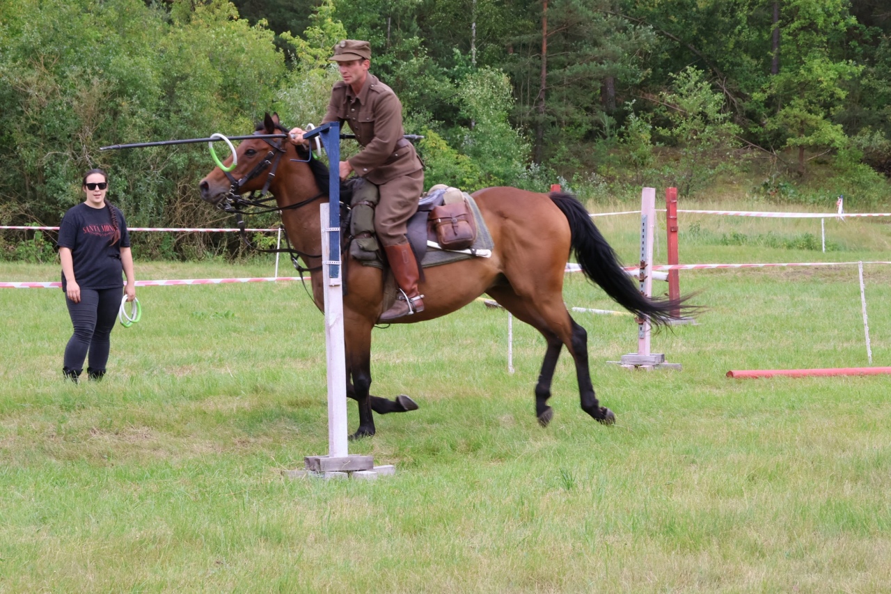 Towarzyskie Zawody Skokowe w Kruszewie [28.06.2025] - zdjęcie #31 - eOstroleka.pl