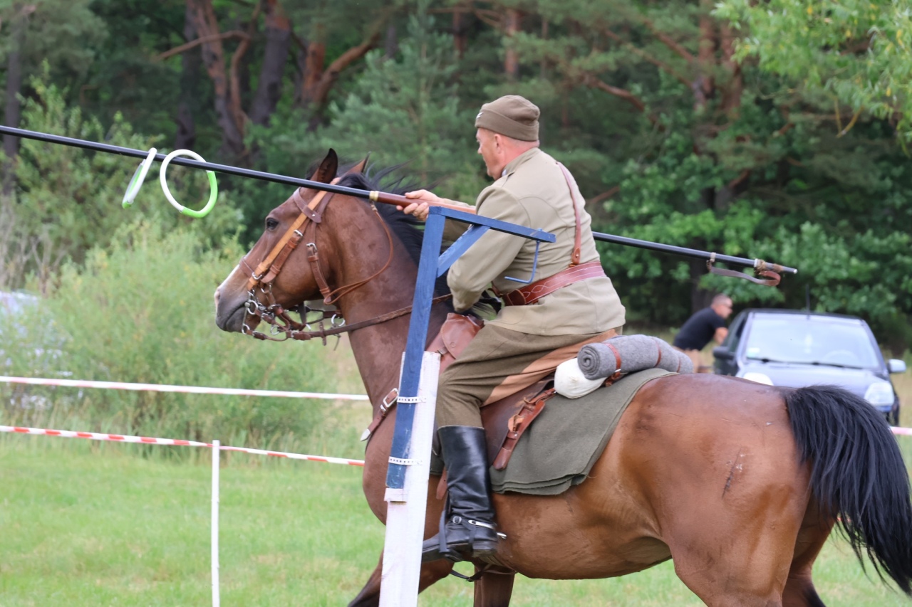 Towarzyskie Zawody Skokowe w Kruszewie [28.06.2025] - zdjęcie #30 - eOstroleka.pl