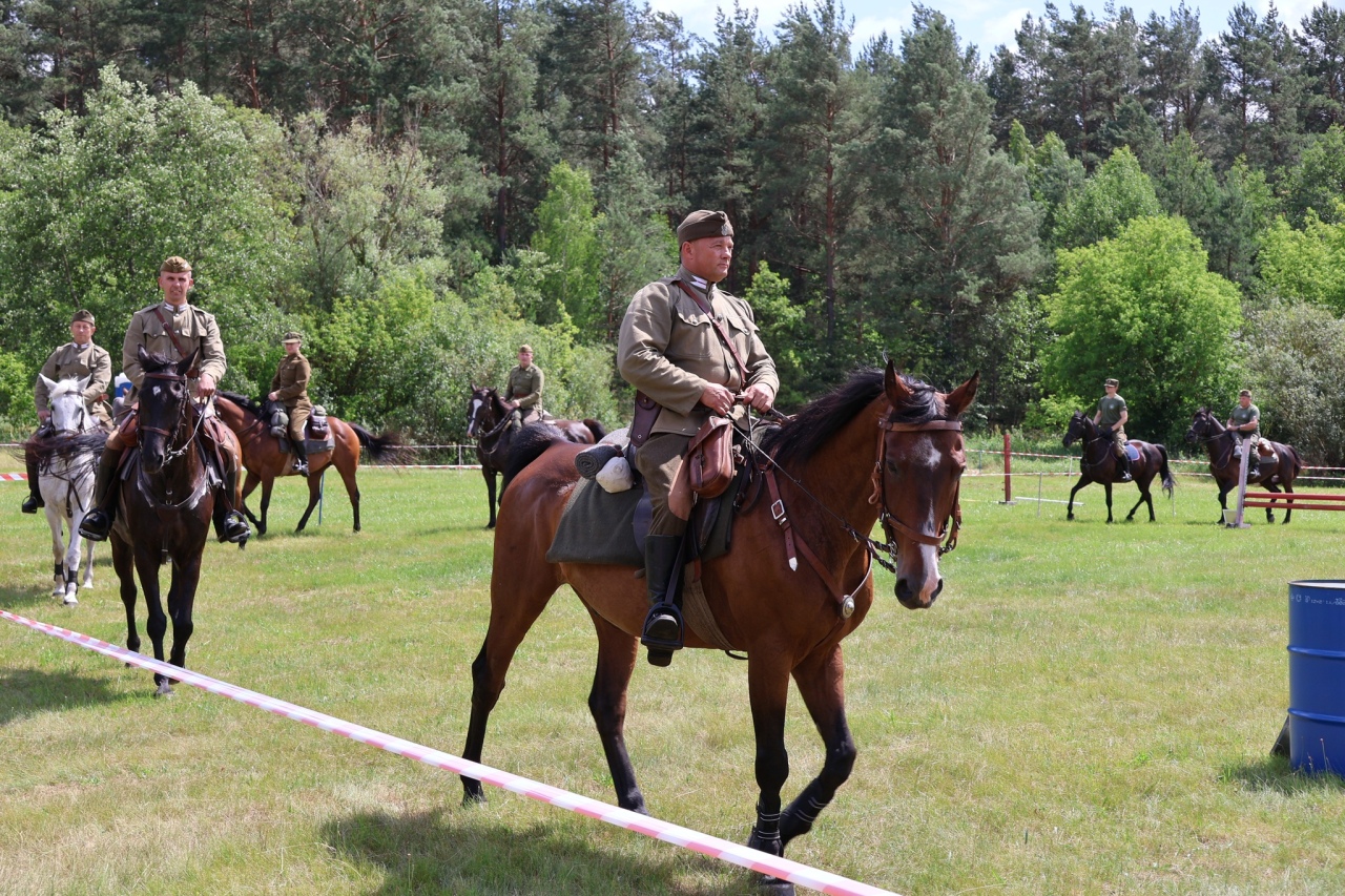 Towarzyskie Zawody Skokowe w Kruszewie [28.06.2025] - zdjęcie #29 - eOstroleka.pl
