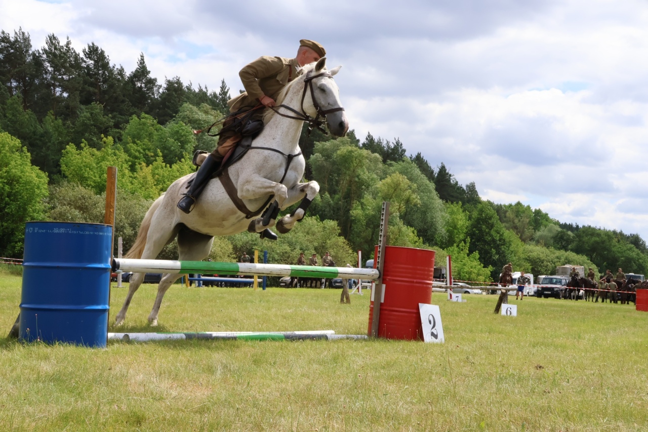 Towarzyskie Zawody Skokowe w Kruszewie [28.06.2025] - zdjęcie #22 - eOstroleka.pl