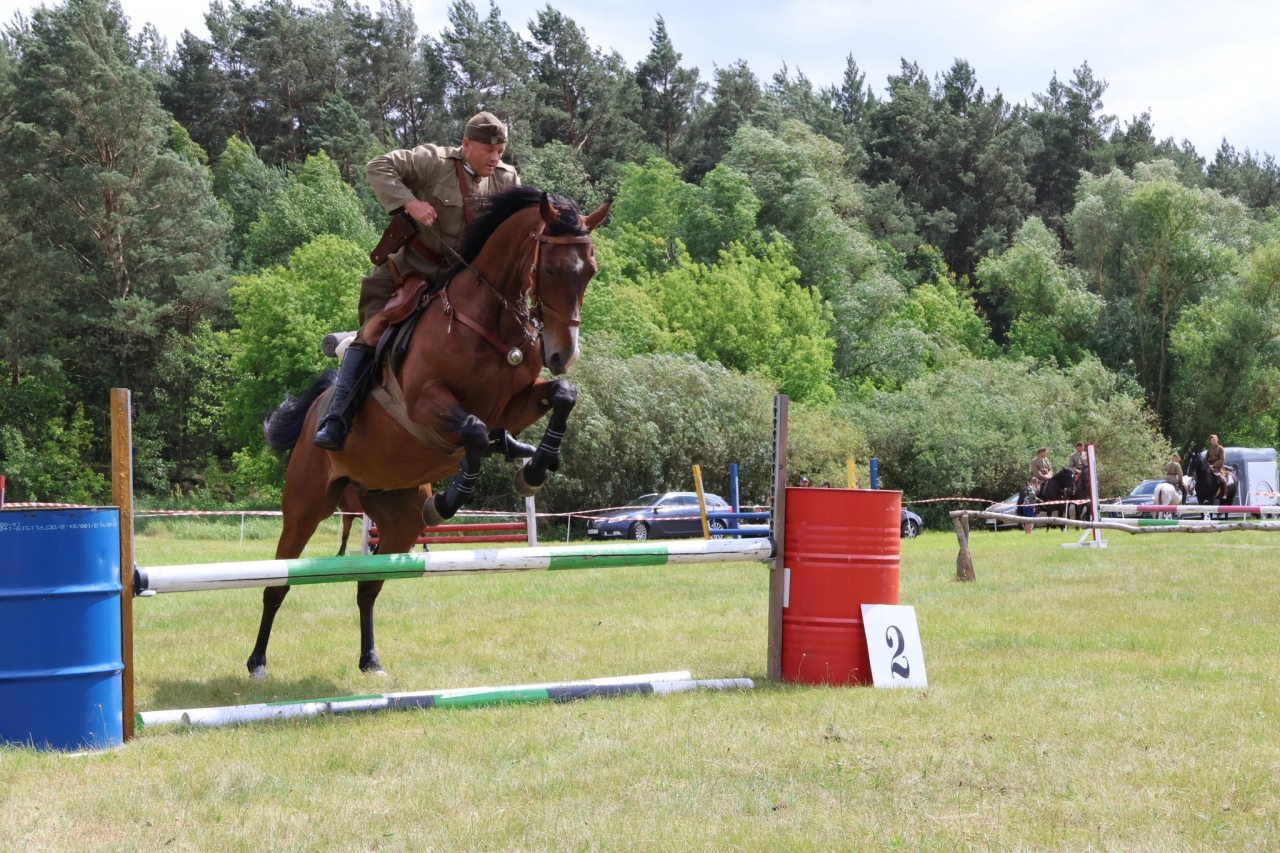 Towarzyskie Zawody Skokowe w Kruszewie [28.06.2025] - zdjęcie #20 - eOstroleka.pl
