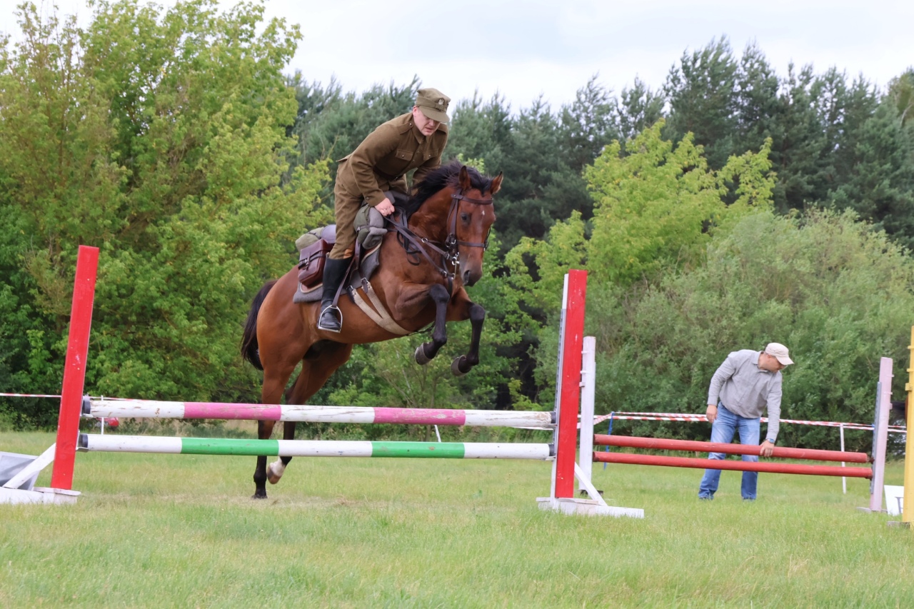 Towarzyskie Zawody Skokowe w Kruszewie [28.06.2025] - zdjęcie #18 - eOstroleka.pl