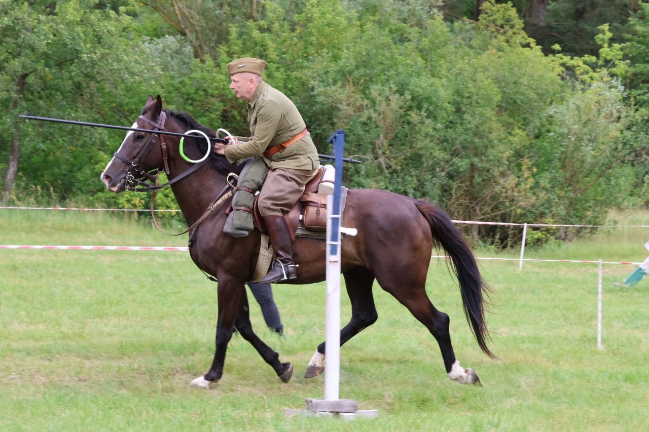 Towarzyskie Zawody Skokowe w Kruszewie [28.06.2025] - zdjęcie #16 - eOstroleka.pl