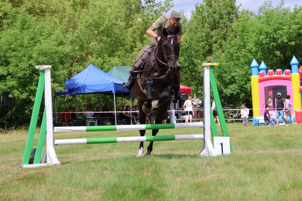 Towarzyskie Zawody Skokowe w Kruszewie [28.06.2025] - zdjęcie #11 - eOstroleka.pl
