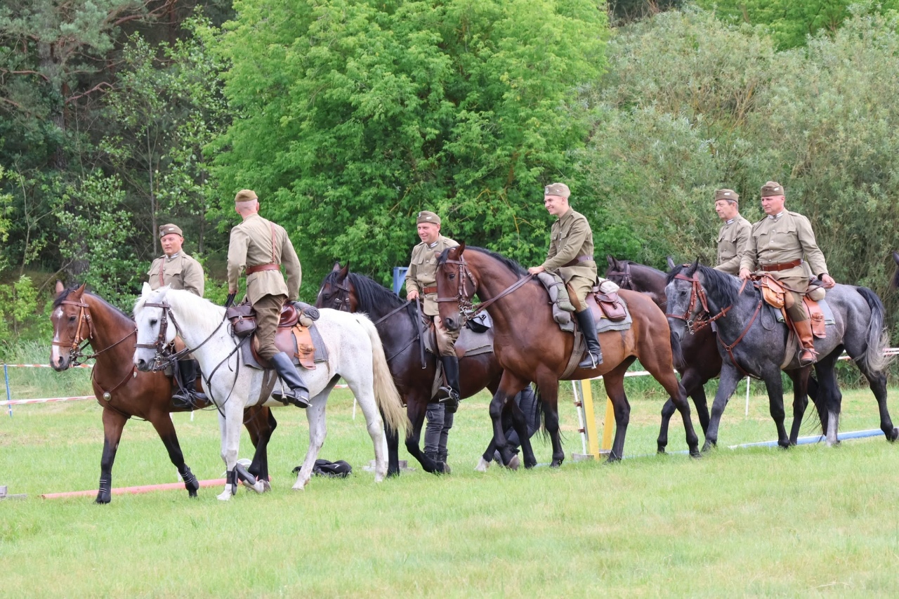Towarzyskie Zawody Skokowe w Kruszewie [28.06.2025] - zdjęcie #9 - eOstroleka.pl