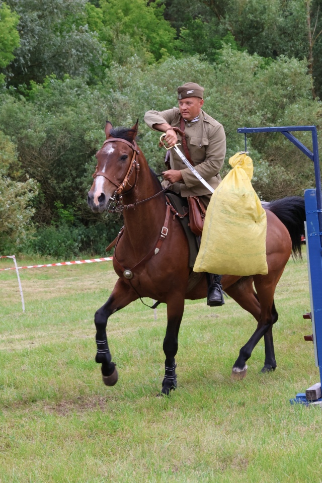 Towarzyskie Zawody Skokowe w Kruszewie [28.06.2025] - zdjęcie #8 - eOstroleka.pl