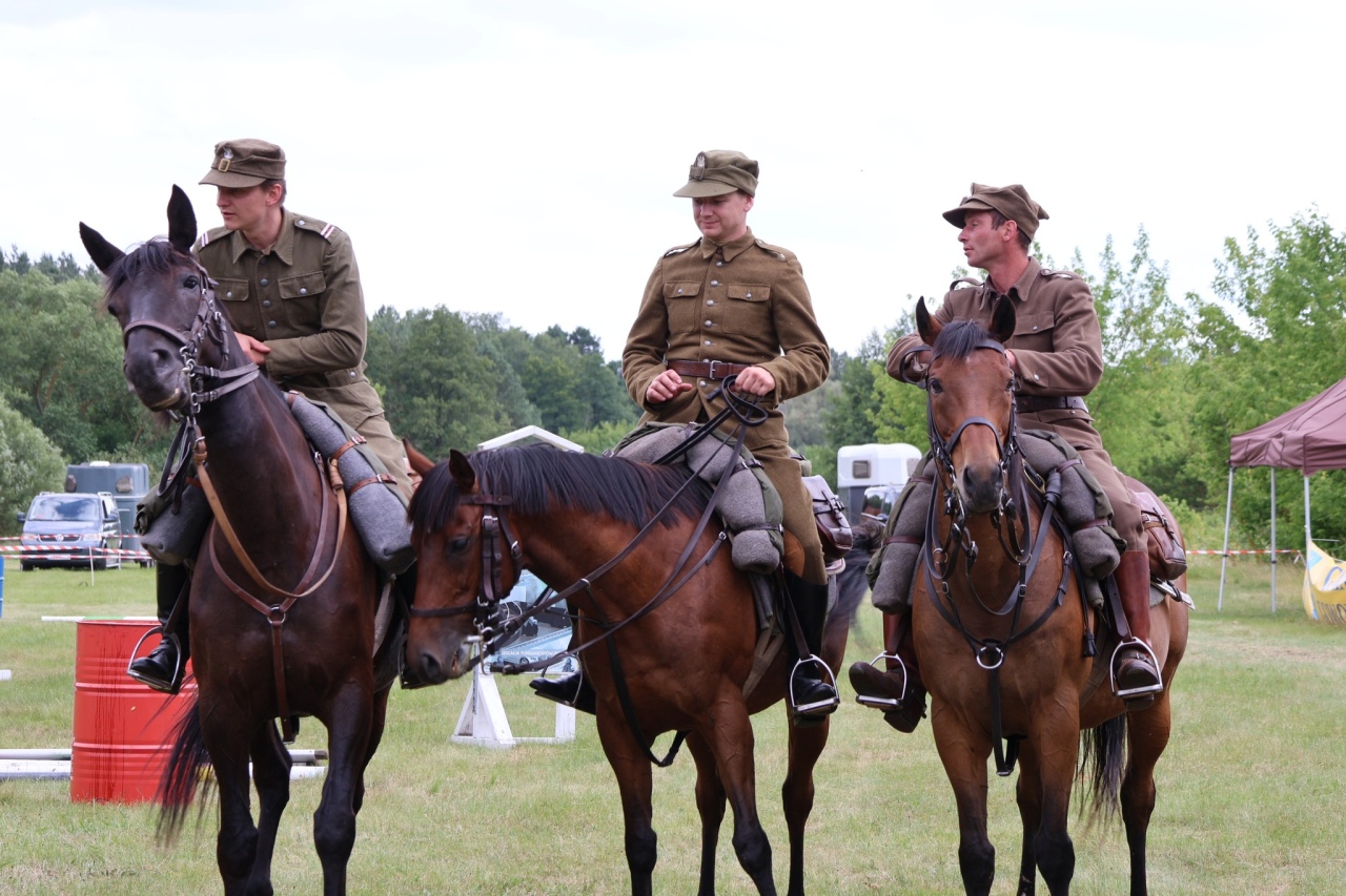 Towarzyskie Zawody Skokowe w Kruszewie [28.06.2025] - zdjęcie #7 - eOstroleka.pl