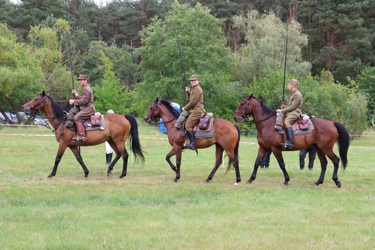Towarzyskie Zawody Skokowe w Kruszewie [28.06.2025] - zdjęcie #4 - eOstroleka.pl
