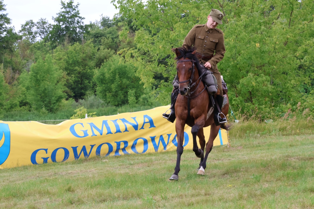Towarzyskie Zawody Skokowe w Kruszewie [28.06.2025] - zdjęcie #1 - eOstroleka.pl