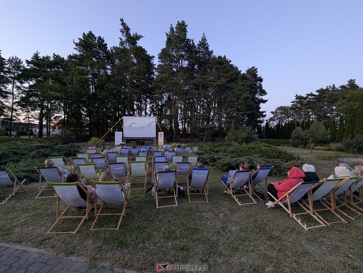 Letnie Kino Nadziei w Ostrołęce [04.07,2025] - zdjęcie #11 - eOstroleka.pl