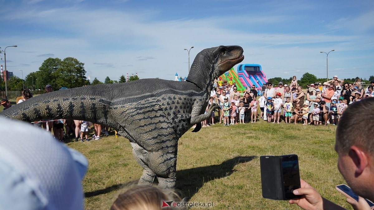 Festiwal Dinozaurów [05.07.2025] - zdjęcie #39 - eOstroleka.pl