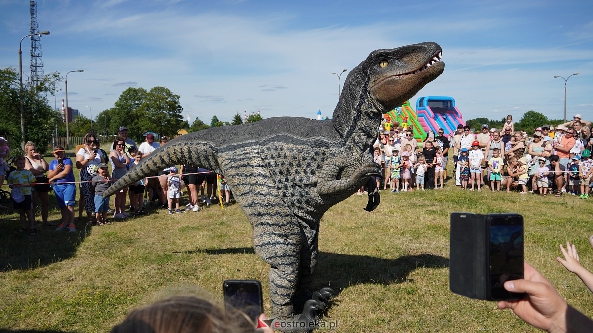 Festiwal Dinozaurów [05.07.2025] - zdjęcie #38 - eOstroleka.pl