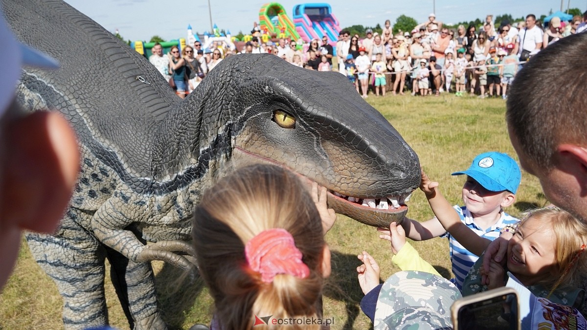 Festiwal Dinozaurów [05.07.2025] - zdjęcie #34 - eOstroleka.pl