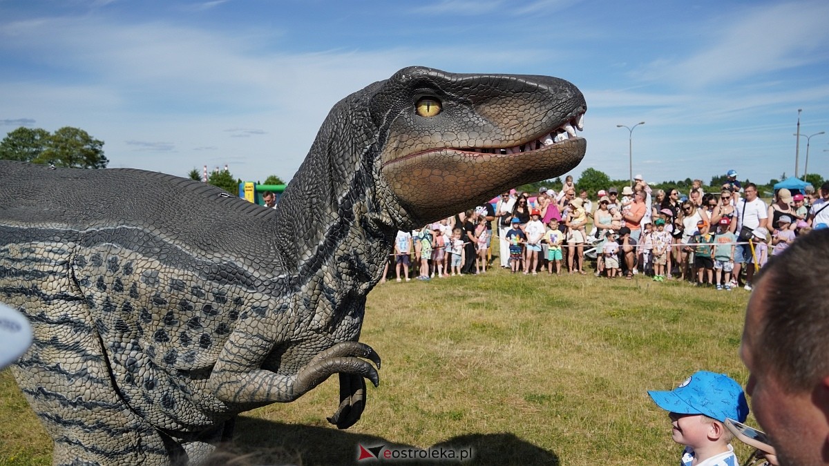 Festiwal Dinozaurów [05.07.2025] - zdjęcie #33 - eOstroleka.pl