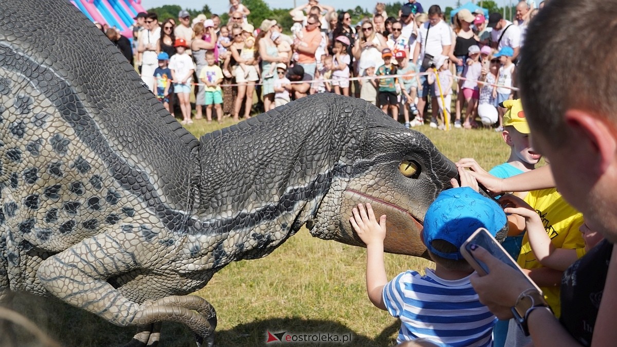 Festiwal Dinozaurów [05.07.2025] - zdjęcie #32 - eOstroleka.pl