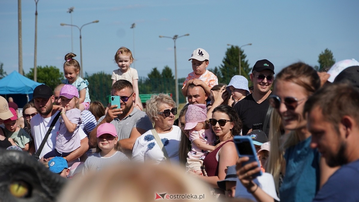 Festiwal Dinozaurów [05.07.2025] - zdjęcie #29 - eOstroleka.pl