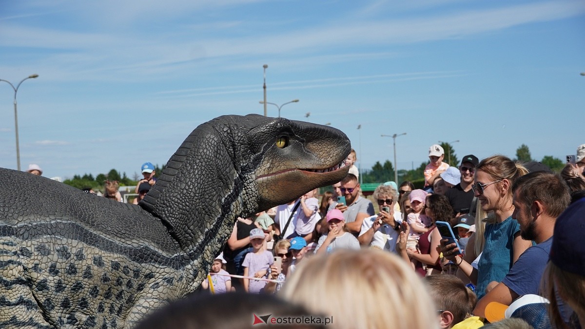 Festiwal Dinozaurów [05.07.2025] - zdjęcie #28 - eOstroleka.pl