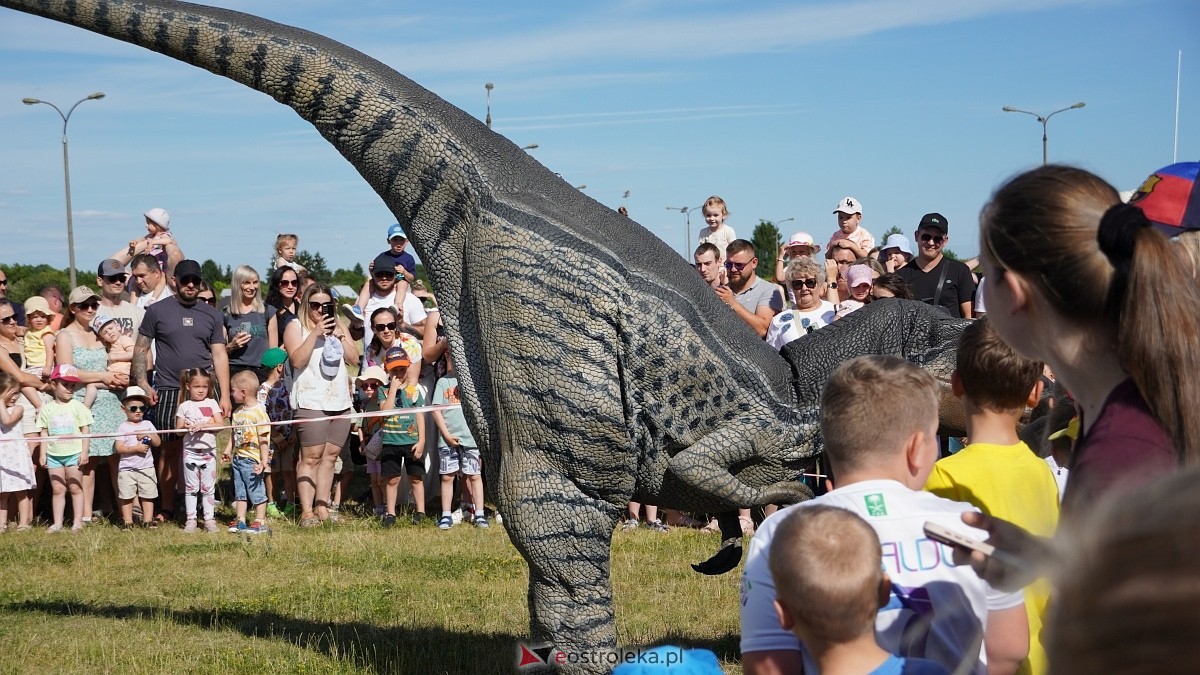 Festiwal Dinozaurów [05.07.2025] - zdjęcie #26 - eOstroleka.pl