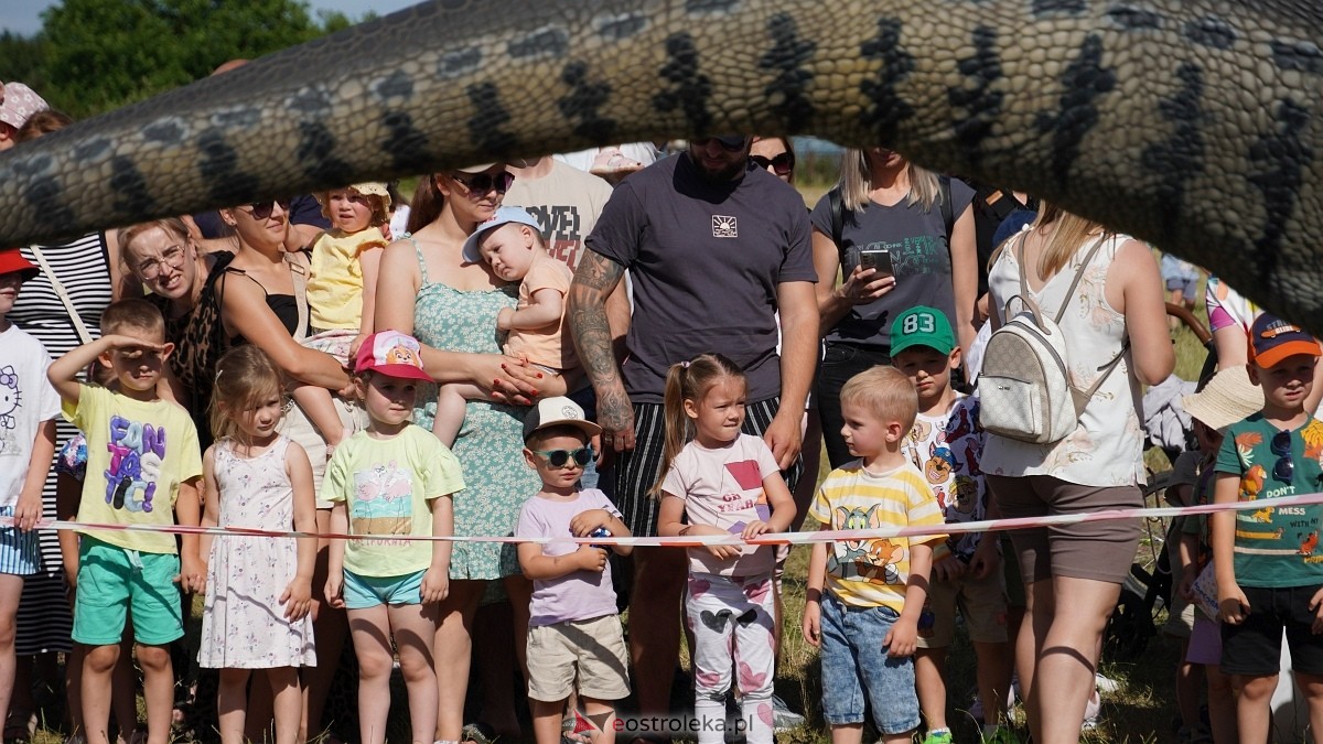 Festiwal Dinozaurów [05.07.2025] - zdjęcie #25 - eOstroleka.pl