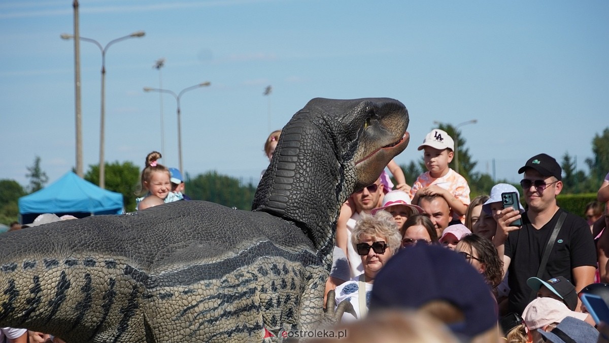 Festiwal Dinozaurów [05.07.2025] - zdjęcie #21 - eOstroleka.pl