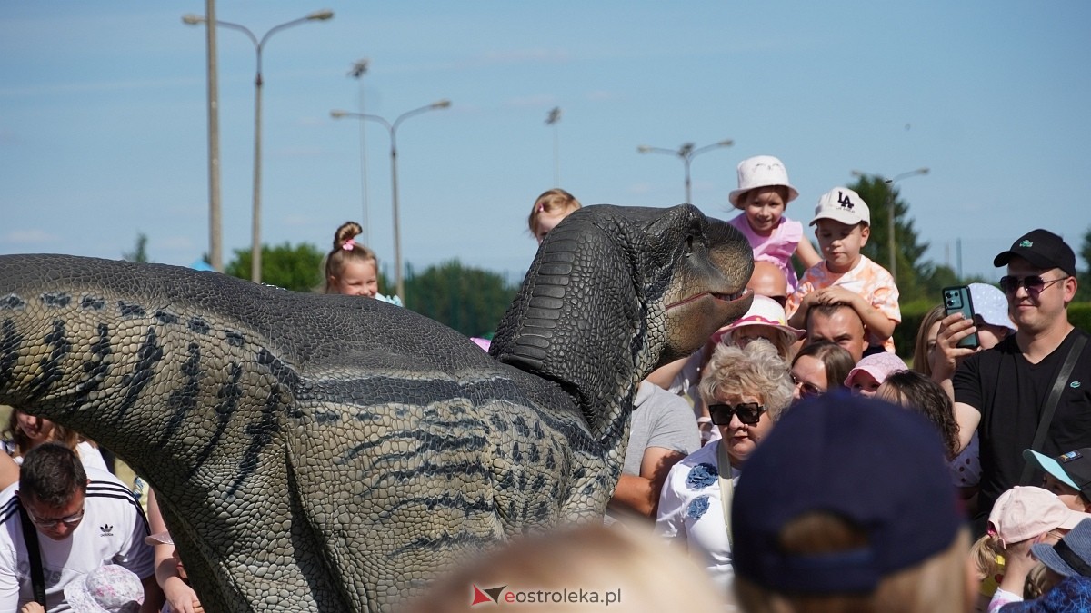 Festiwal Dinozaurów [05.07.2025] - zdjęcie #20 - eOstroleka.pl