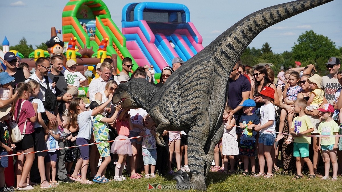 Festiwal Dinozaurów [05.07.2025] - zdjęcie #14 - eOstroleka.pl