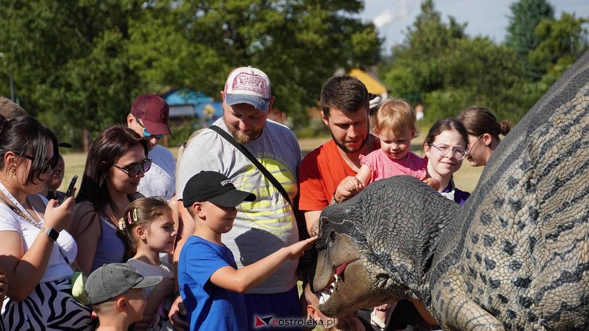 Festiwal Dinozaurów [05.07.2025] - zdjęcie #1 - eOstroleka.pl