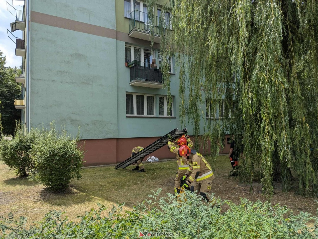 Interwencja strażaków i policjantów przy ul. Celulozowej [08.07.2025] - zdjęcie #7 - eOstroleka.pl