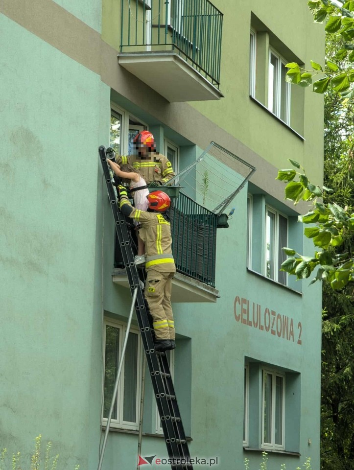 Interwencja strażaków i policjantów przy ul. Celulozowej [08.07.2025] - zdjęcie #6 - eOstroleka.pl