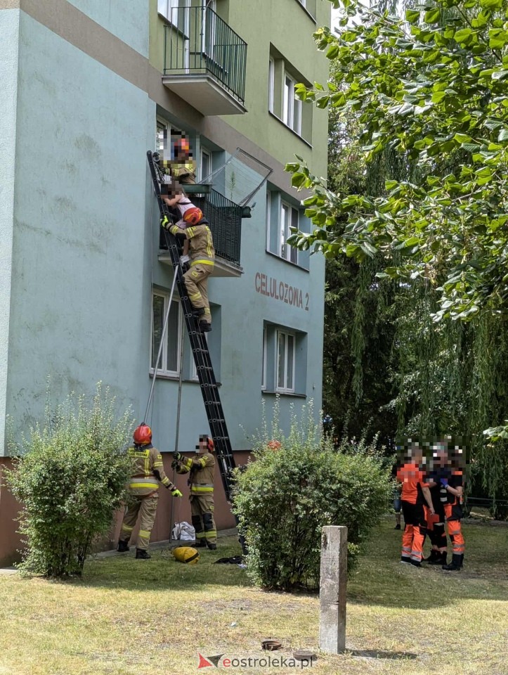 Interwencja strażaków i policjantów przy ul. Celulozowej [08.07.2025] - zdjęcie #5 - eOstroleka.pl