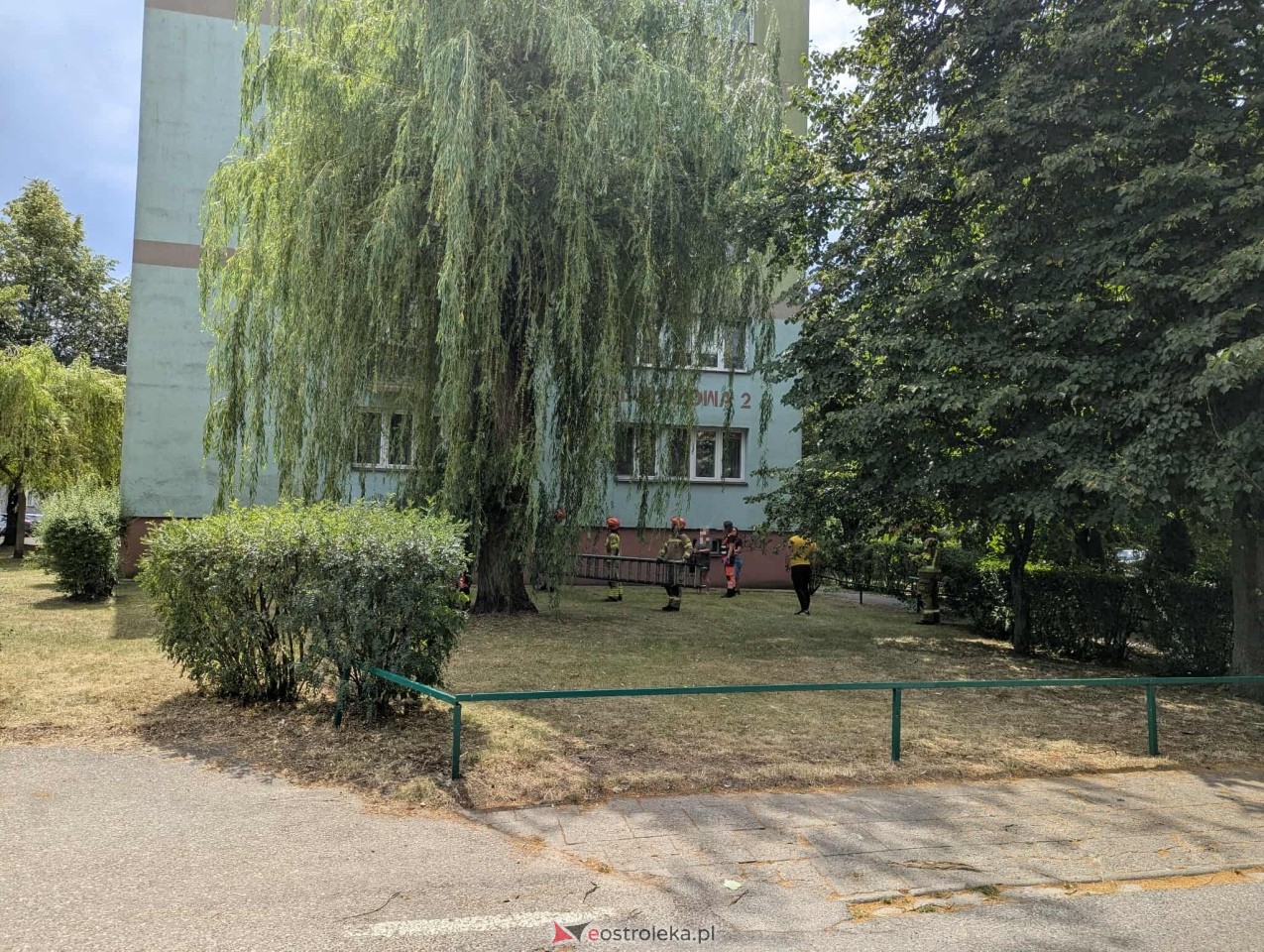 Interwencja strażaków i policjantów przy ul. Celulozowej [08.07.2025] - zdjęcie #4 - eOstroleka.pl
